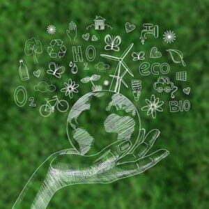 Pioneering Change: Sustainability and Environmental Responsibility in Business Practices